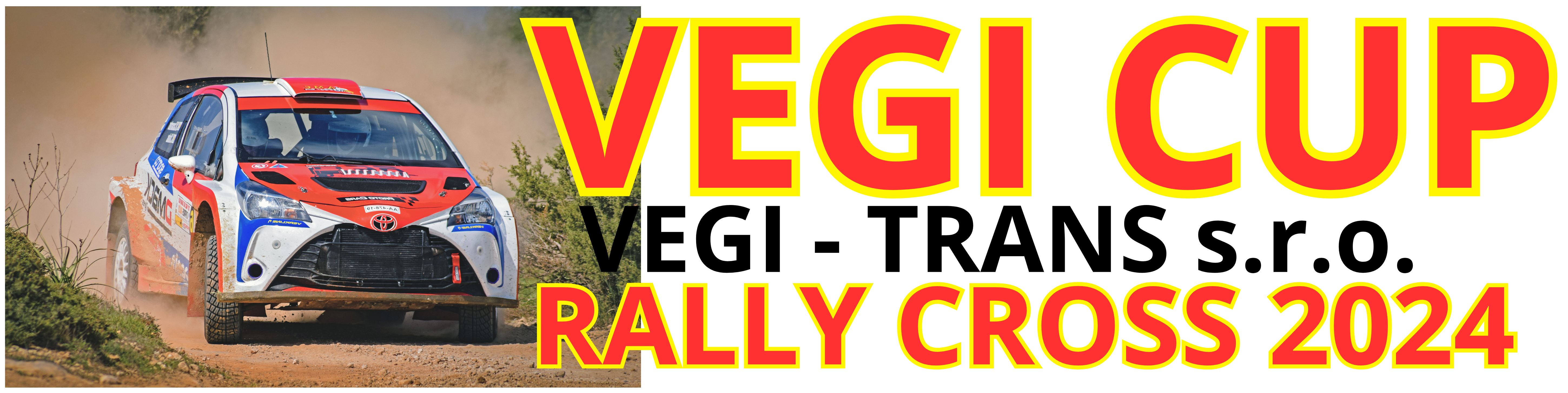 VEGI CUP